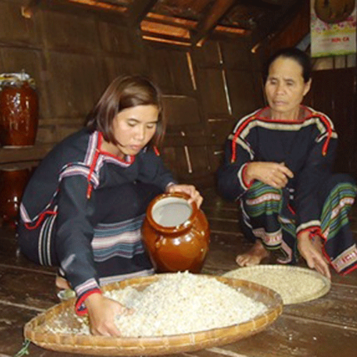 Làng Nghề Rượu Cần Lâm Đồng